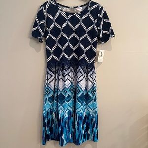 LuLaRoe Amelia dress